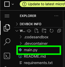 main.py file in CodeSandbox